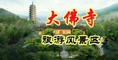 骚逼被插视频中国浙江-新昌大佛寺旅游风景区